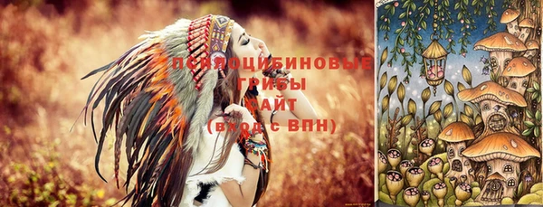 гидропоника Алзамай