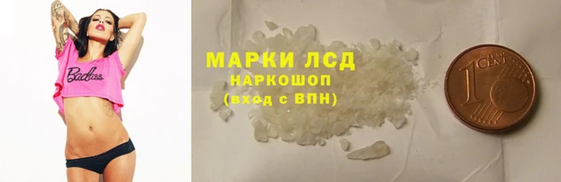 гидропоника Алзамай