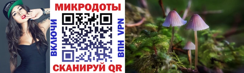 Галлюциногенные грибы Cubensis  магазин продажи   hydra tor  Апшеронск 